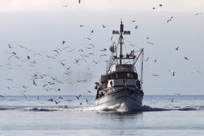 Poziv na dostavu društveno-gospodarskih podataka za ribolovnu flotu