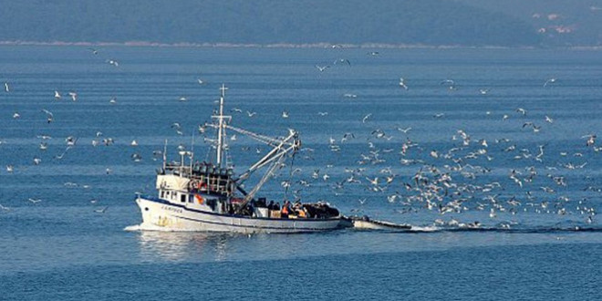Obavijest – podnošenje zahtjeva za izdavanje Odobrenja za gospodarski ribolov obalnim mrežama potegačama i malim plivaricama