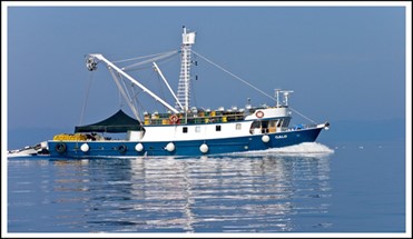 Pravilnik o obliku, sadržaju i načinu vođenja i dostave podataka o ulovu u gospodarskom ribolovu na moru