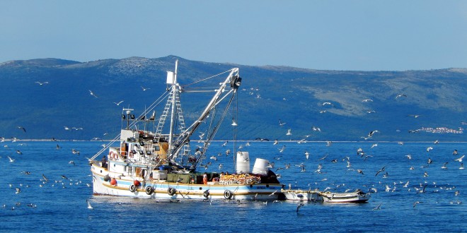 Natječaj za dodjelu potpore u okviru mjere IV.3. „Stavljanje na tržište proizvoda ribarstva i akvakulture – kompenzacija“