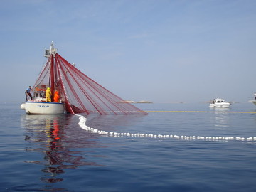 U Narodnim Novinama objavljen Pravilnik o obavljanju gospodarskog ribolova na moru pridnenom povlačnom mrežom – koćom