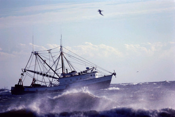 Pravilnik o obavljanju gospodarskog ribolova na moru okružujućim mrežama plivaricom palamidarom, plivaricom ciplaricom, plivaricom lokardarom, plivaricom igličarom i plivaricom oližnicom