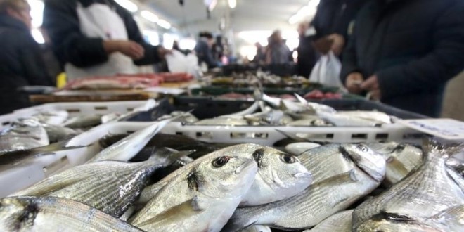 NATJEČAJ – za dodjelu potpore u okviru mjere IV.3. »Stavljanje na tržište proizvoda ribarstva i akvakulture«