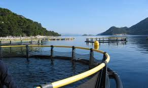 Pravilnik o uvjetima, kriterijima i načinu dodjele potpore u okviru mjere II.7. »Povećanje potencijala akvakulturnih lokaliteta«